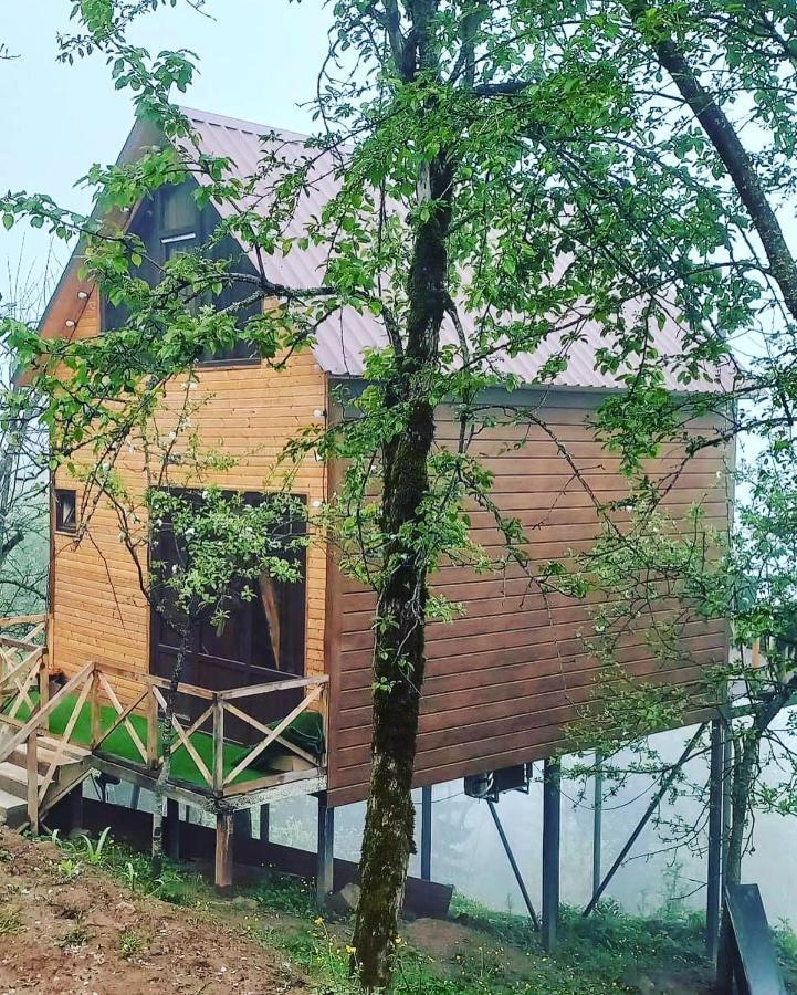 Вілла Time House Kokotauri Екстер'єр фото